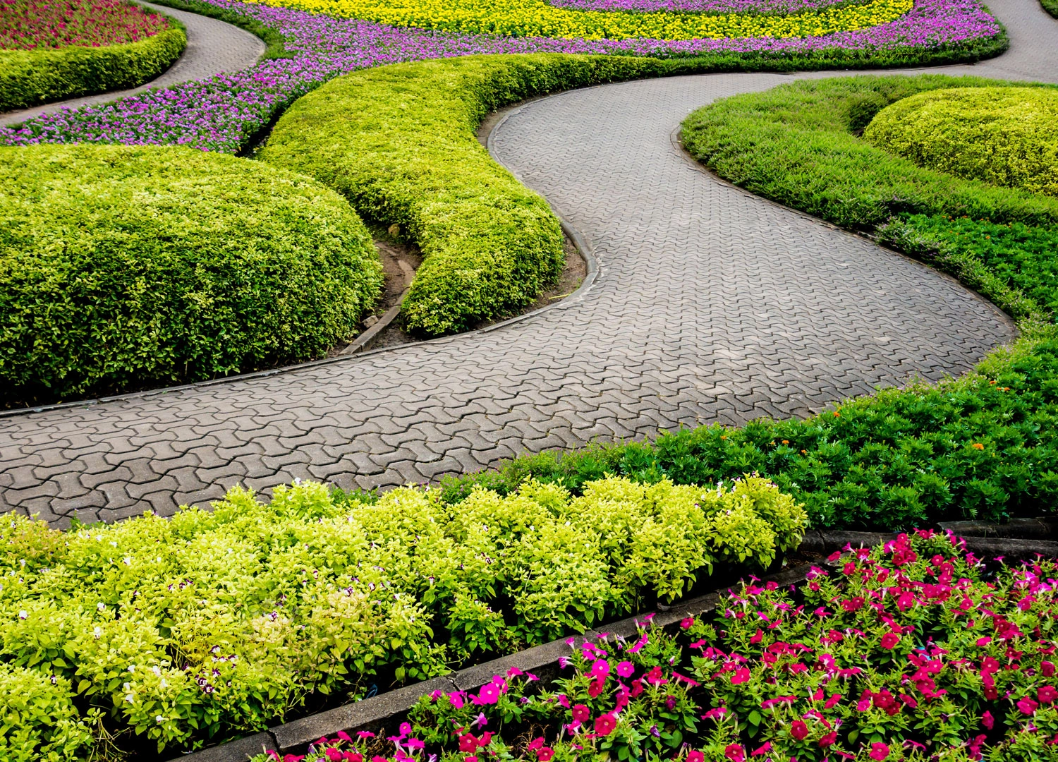 Home Decor and Garden